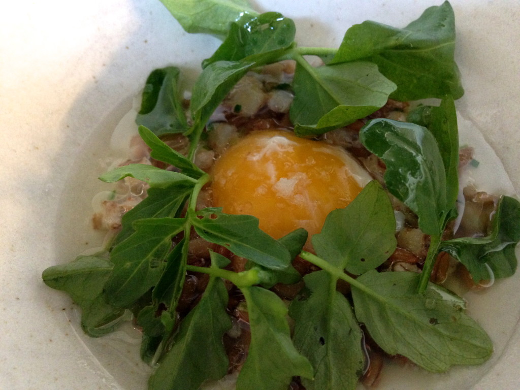 Amass egg yolk and fermented grains