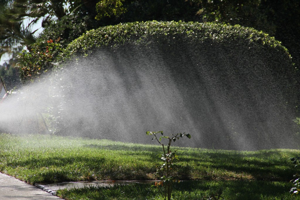 Sprinkler in sunlight