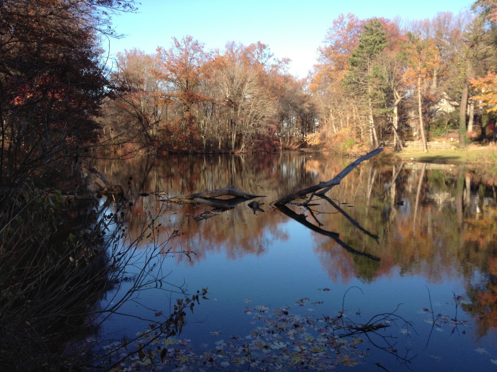 Milton Lake, NJ