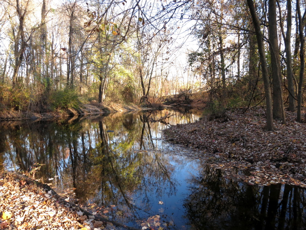 Milton Lake Rahway