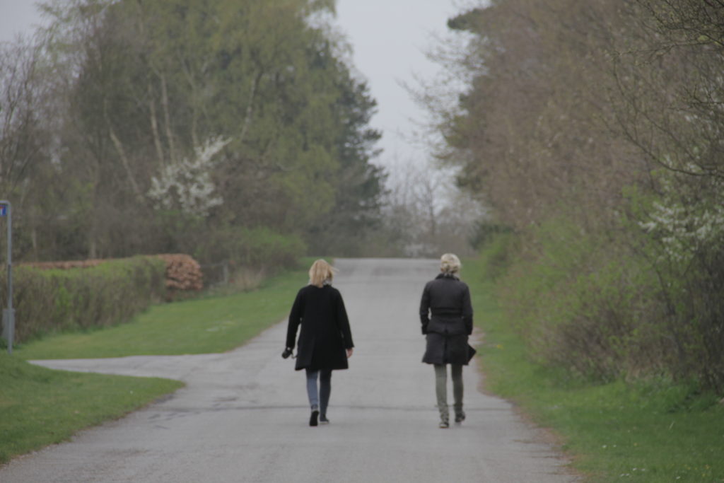 Friends on a walk