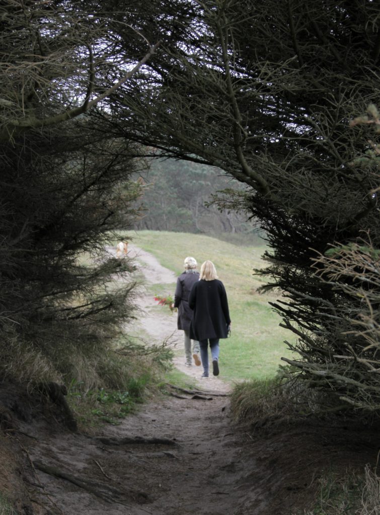 Walk with friends in Rågeleje