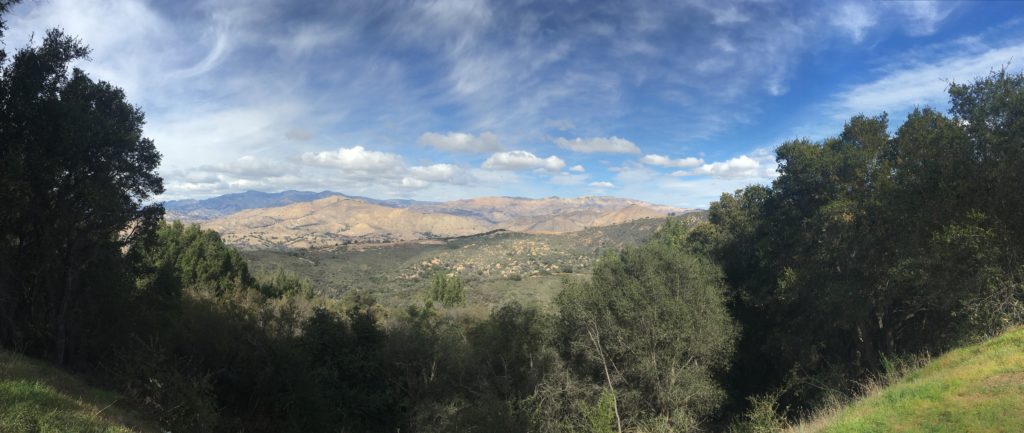 Road trip panorama 1