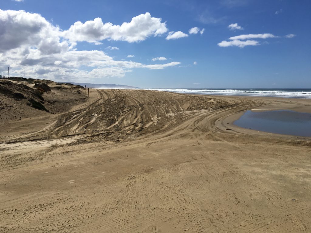 Truck tracks Oceano Dunes