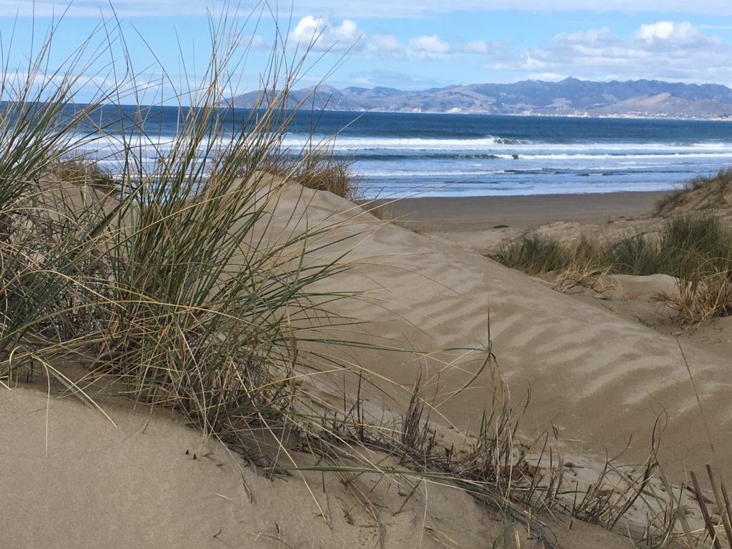 Oceano Dunes