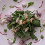 smoked trout and arugula salad