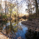 Milton Lake Rahway