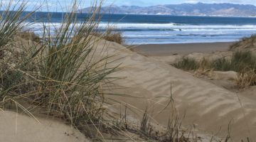 Oceano Dunes